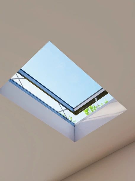1693451441767138.jpg